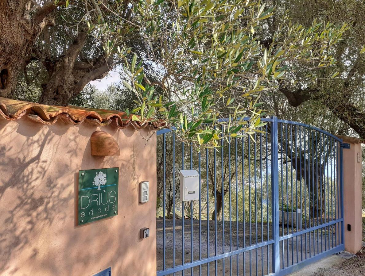 Drius Edode - B&B Affittacamere Torraca Εξωτερικό φωτογραφία