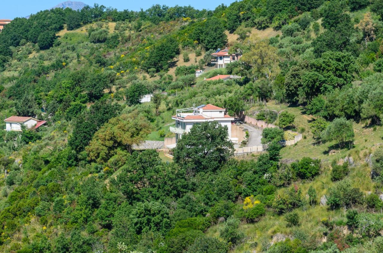 Drius Edode - B&B Affittacamere Torraca Εξωτερικό φωτογραφία