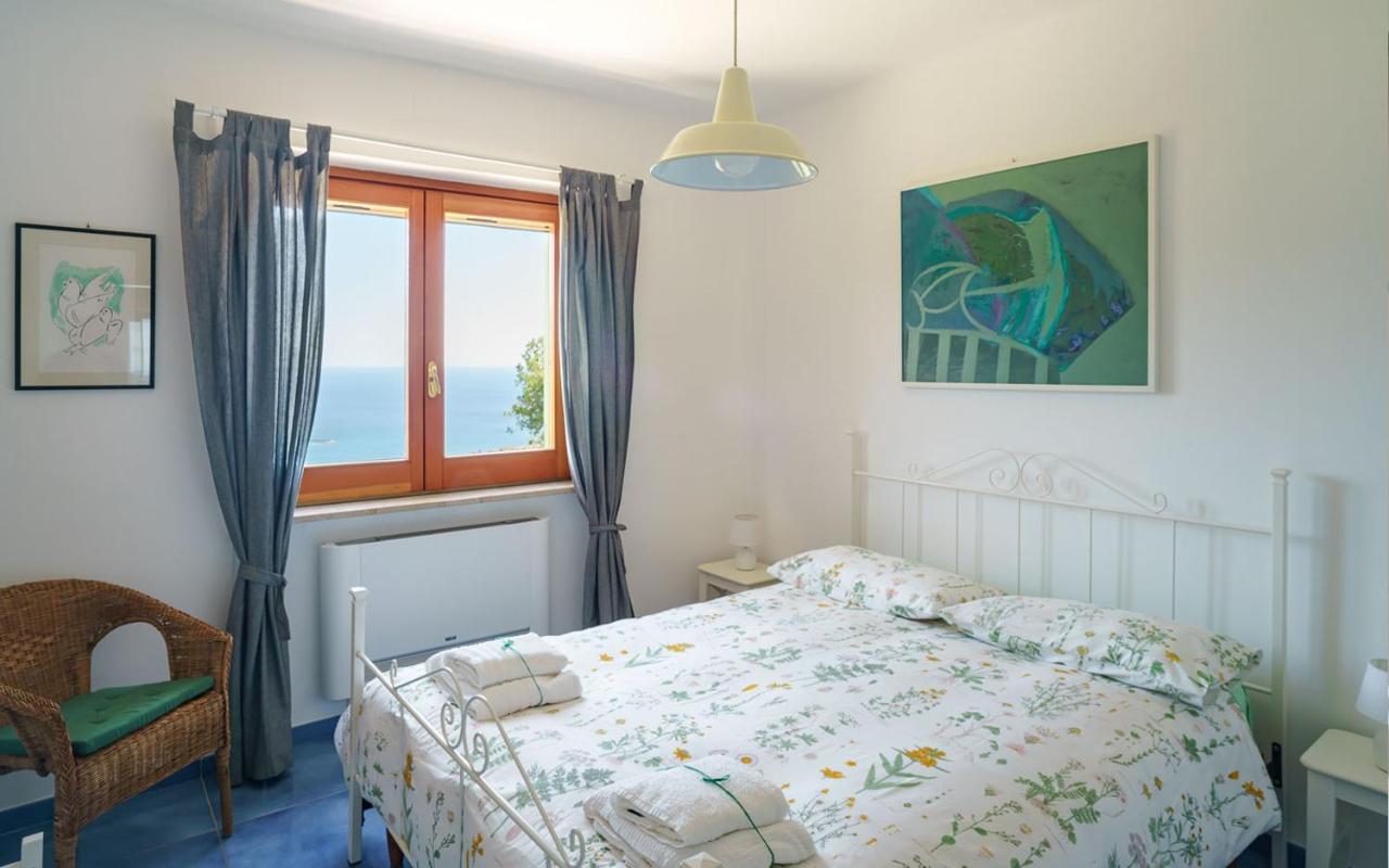 Drius Edode - B&B Affittacamere Torraca Εξωτερικό φωτογραφία
