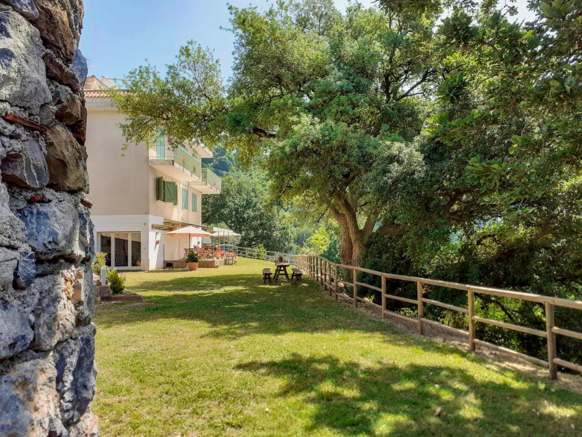 Drius Edode - B&B Affittacamere Torraca Εξωτερικό φωτογραφία